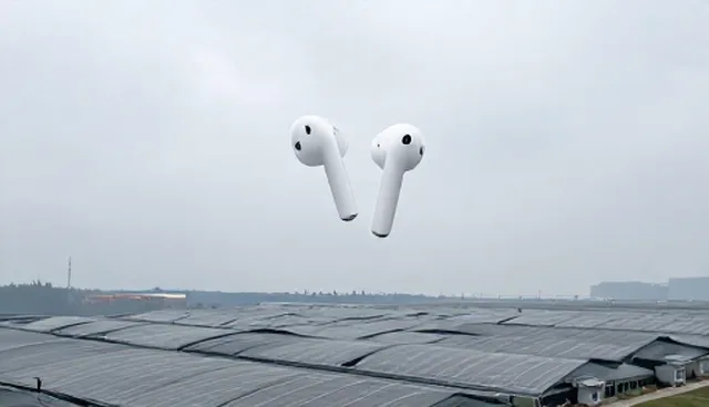 物流效率提升中性能与适用条件的选择依据
